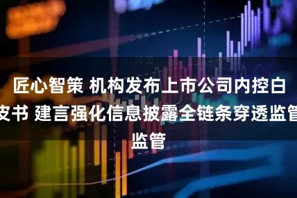 匠心智策 机构发布上市公司内控白皮书 建言强化信息披露全链条穿透监管