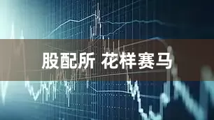 股配所 花样赛马