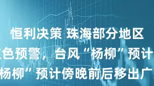 恒利决策 珠海部分地区升级暴雨红色预警,台风“杨柳”预计傍晚前后移出广东