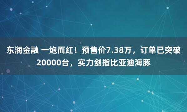 东润金融 一炮而红！预售价7.38万，订单已突破20000台，实力剑指比亚迪海豚